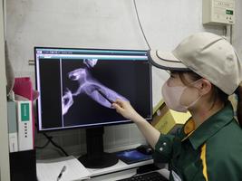 【小学5，6年生対象】夏休み宿題教室「獣医のたまご」の画像