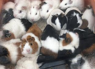 また会う日まで!