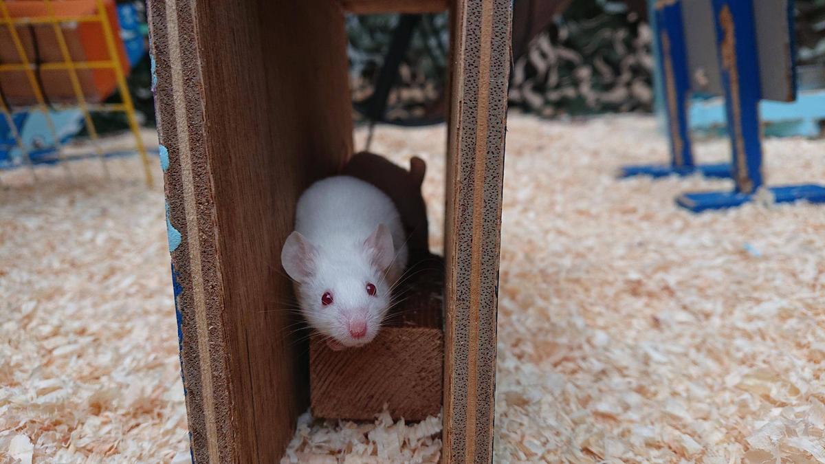 4d59c3e376fad8e85265849af271bf