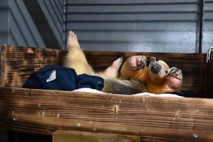 アサヒの知らない君は誰？