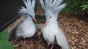 部屋に落ちているものは...？