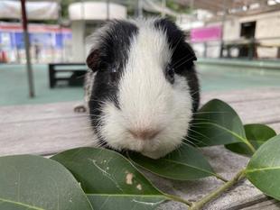 食べてくれるかな？