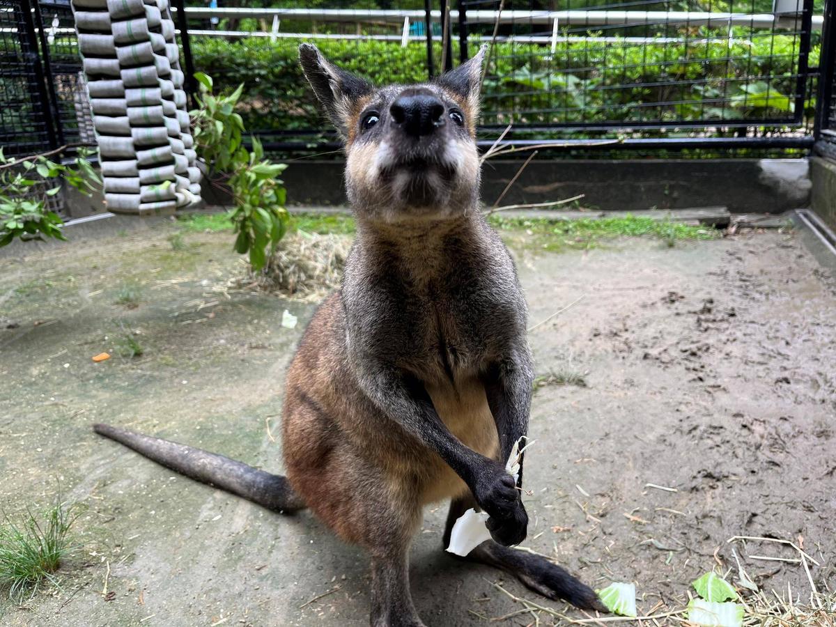 bf020bfbc37b4e4a28c8c680c8d82a