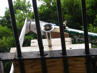 サンペイのウエイトトレーニング