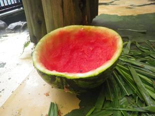 お見事！！サンペイ