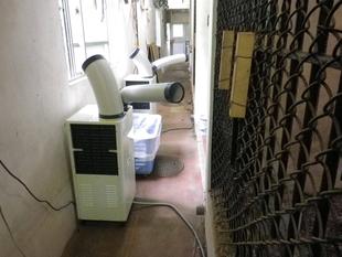 夏を乗り切ろう