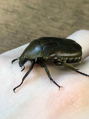 梅雨も明けて