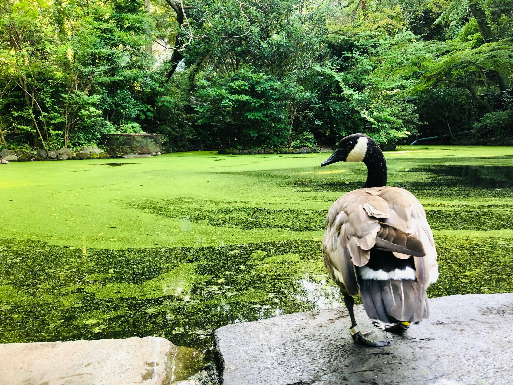 おかえりなさいの写真