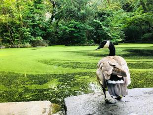 おかえりなさい