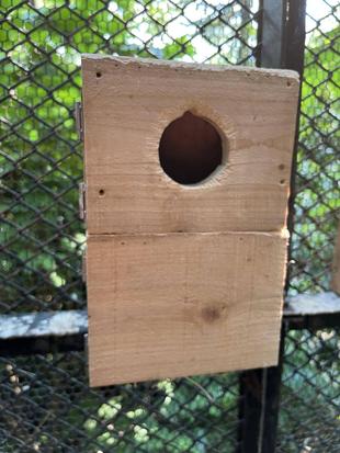 デザイナーズネスト