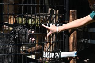 ピーコさん、トレーニングを始めました！