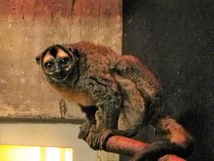 拝啓ブラッド、誕生日おめでとう