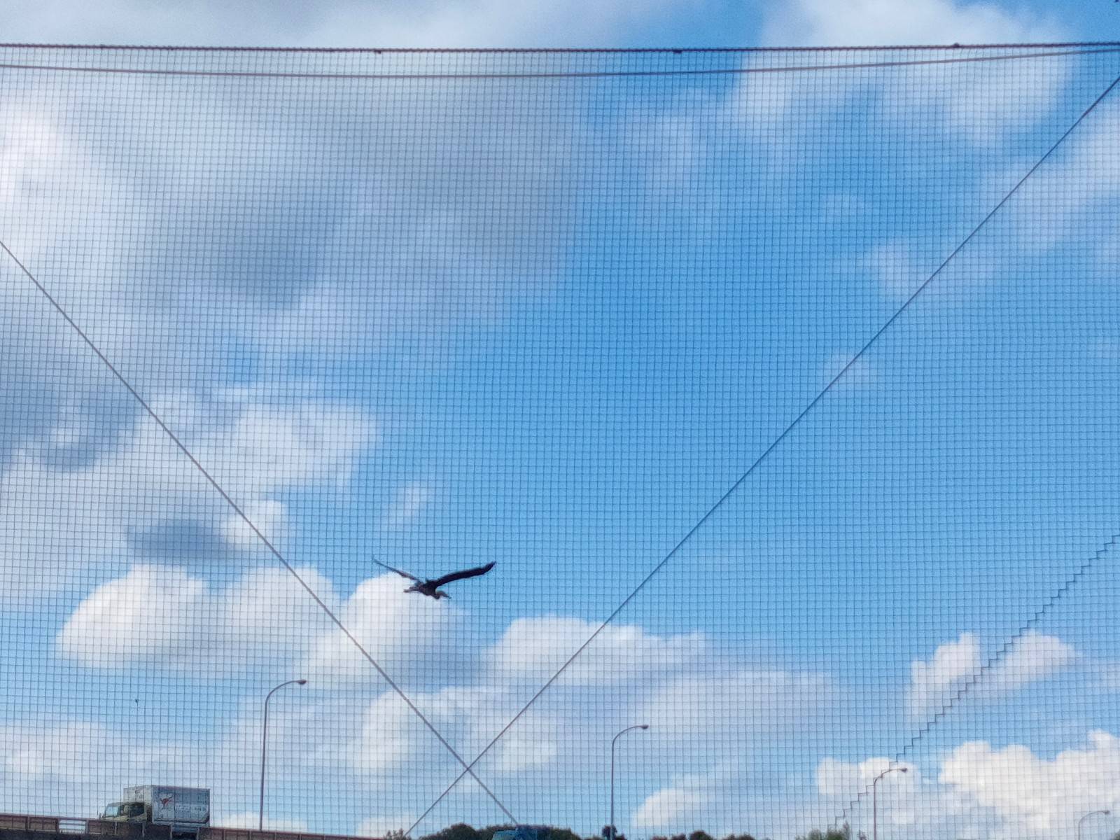 旅立ちの日に!?の写真