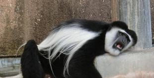 暑いので...ごめんなさい。