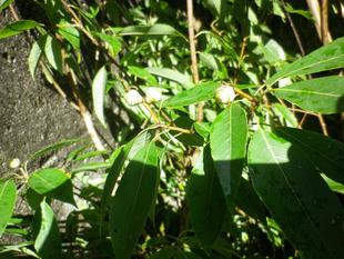 今年もやります！！