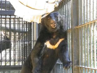 顔出しコマチ、発見！！