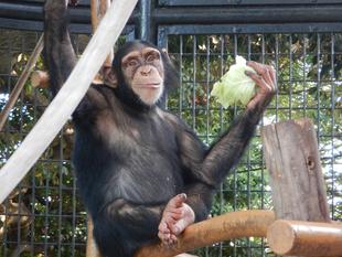 コウタロウ6歳になりました！