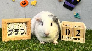 特別公開！はぴもる撮影裏