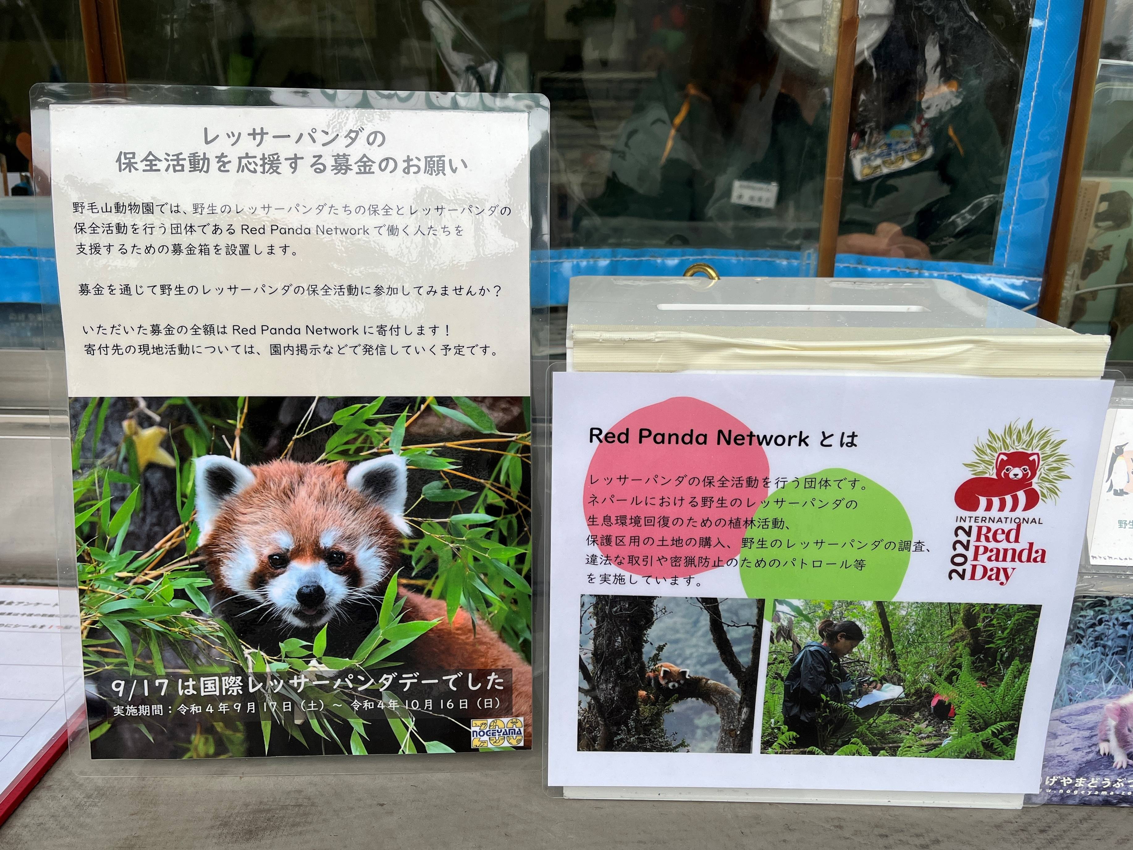 国際レッサーパンダデー裏話の写真
