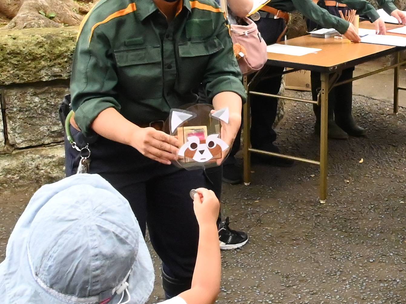 レッサーパンダ募金結果!!の写真