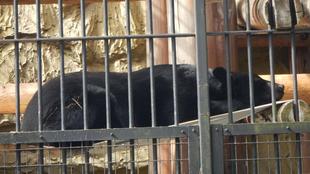 １０月１６日が最後となります。