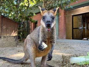 PR大使になりました！！