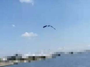 風の強い日の後には