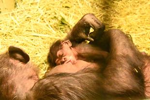 赤ちゃんが産まれました!!