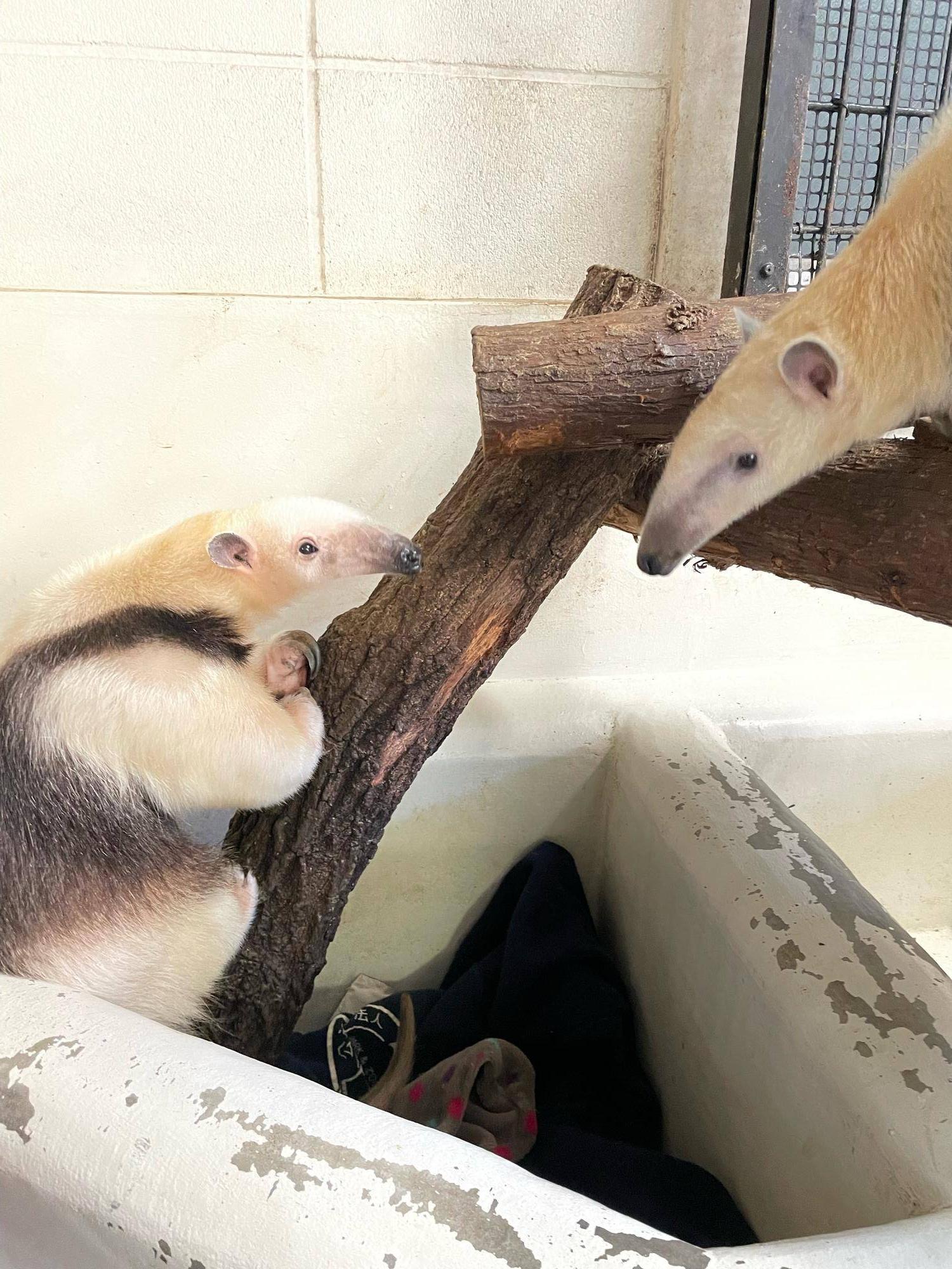原点回帰の写真