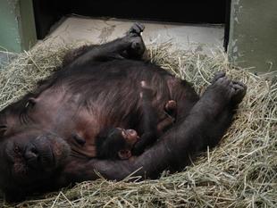 ミラクル母さん流の子育て