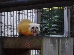 吊るしてみました