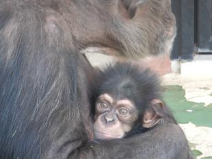 コハル（小春）です！