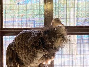 屋内での過ごし方