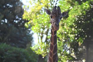 【あみあみ便り】Happy Birthday そら!