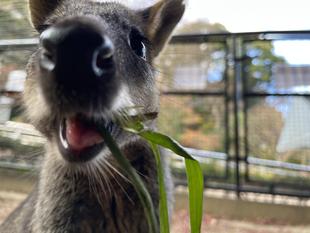 冬の過ごし方~アスタ・オハナ編~