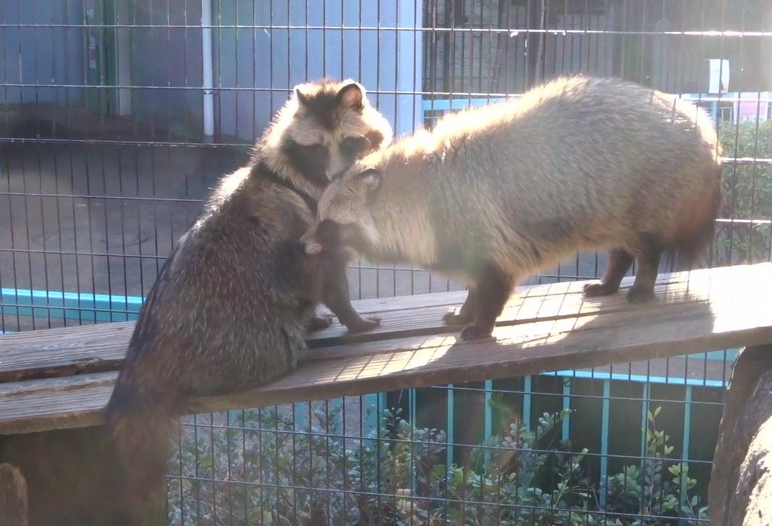 苦労してますの写真