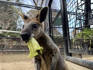 2歳になりました!!