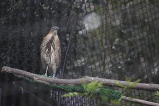 それぞれのお気に入りスポット