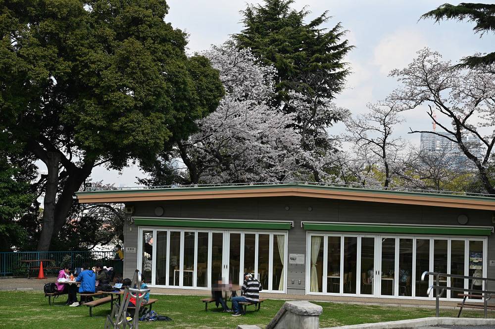 野毛山動物園内さんぽ(2023年3月30日)の写真