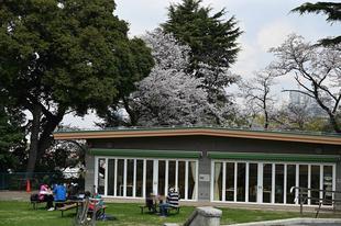 野毛山動物園内さんぽ(2023年3月30日)