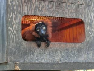 さらば！メリハリ生活