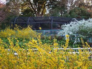 フォトスポット