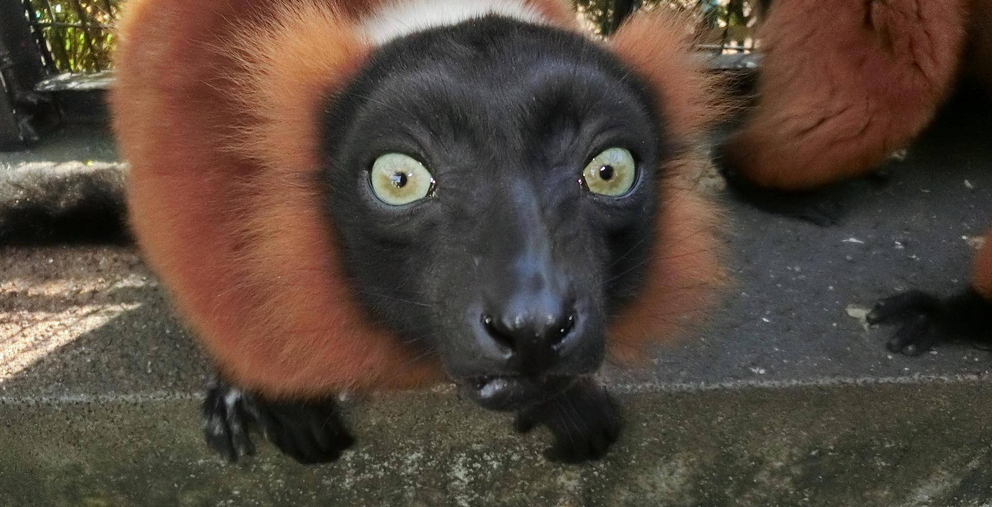のんびり生活始動!の写真
