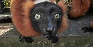 のんびり生活始動！