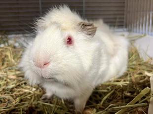 なかよし広場に仲間が増えました!