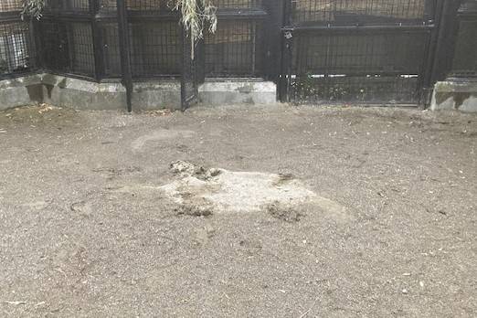 雨の日のミステリーサークルの写真