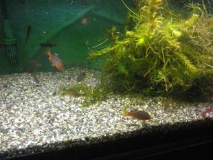 今年こそはの...