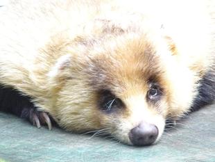 スリム、になったのかな