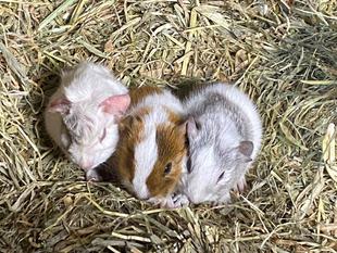 続・パンツにIN