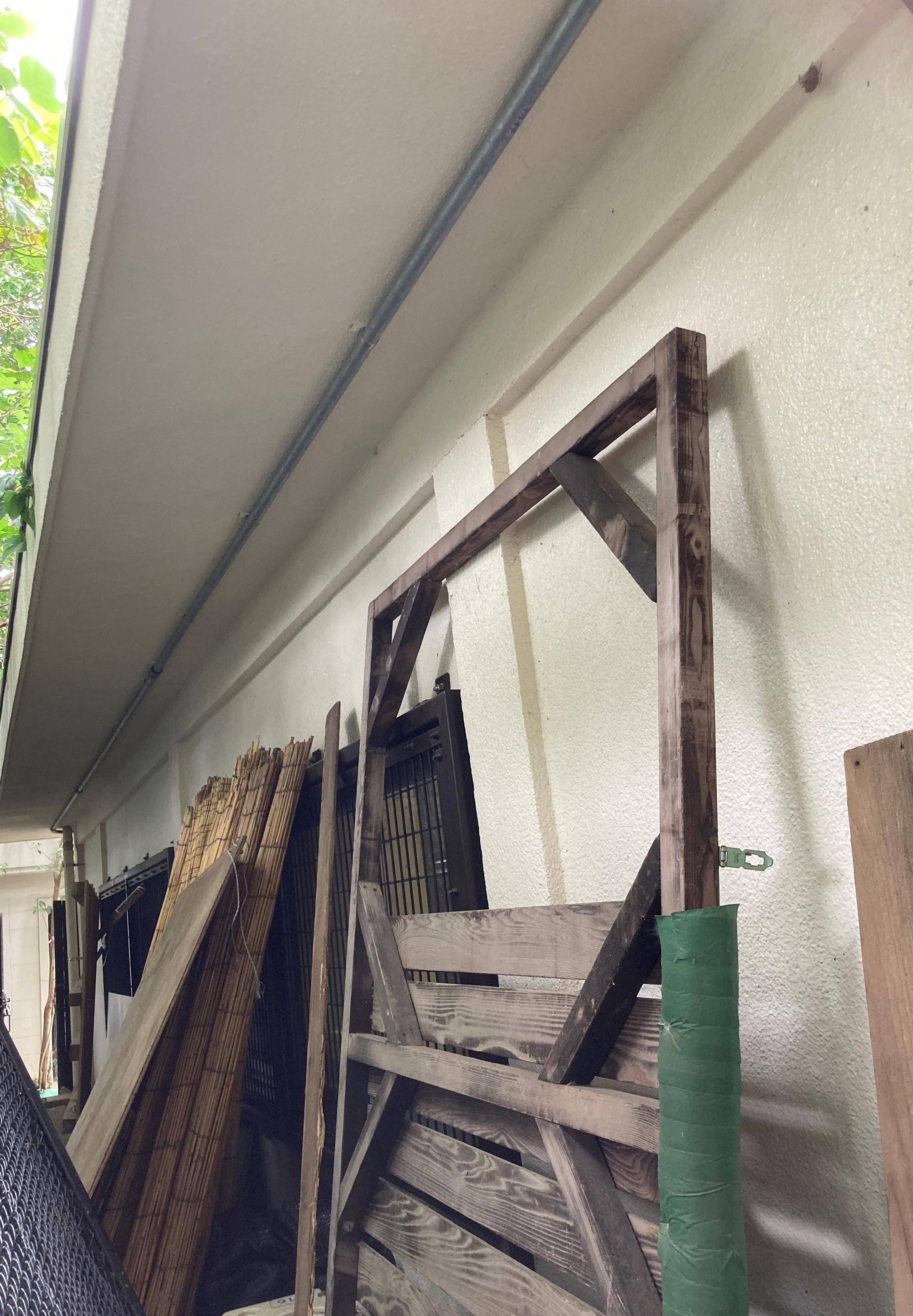 ヤモリが増えています!!の写真